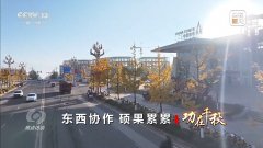 “小苹果”撬动大产业 区域协作让农产品“出山达海”
